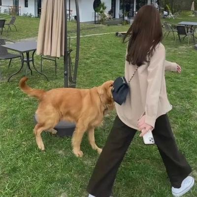甄子丹明星照片